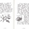 Ten Week Garden - Image 4