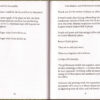 The Consequences - Image 5