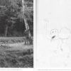 La Magie - Image 5